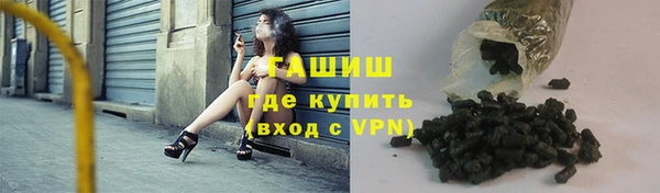 стаф Гусь-Хрустальный