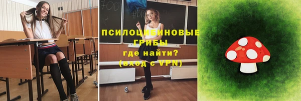 а пвп мука Гусев