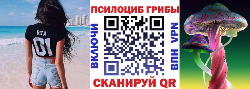 Галлюциногенные грибы прущие грибы  купить наркотики сайты  MEGA рабочий сайт  Чебоксары 